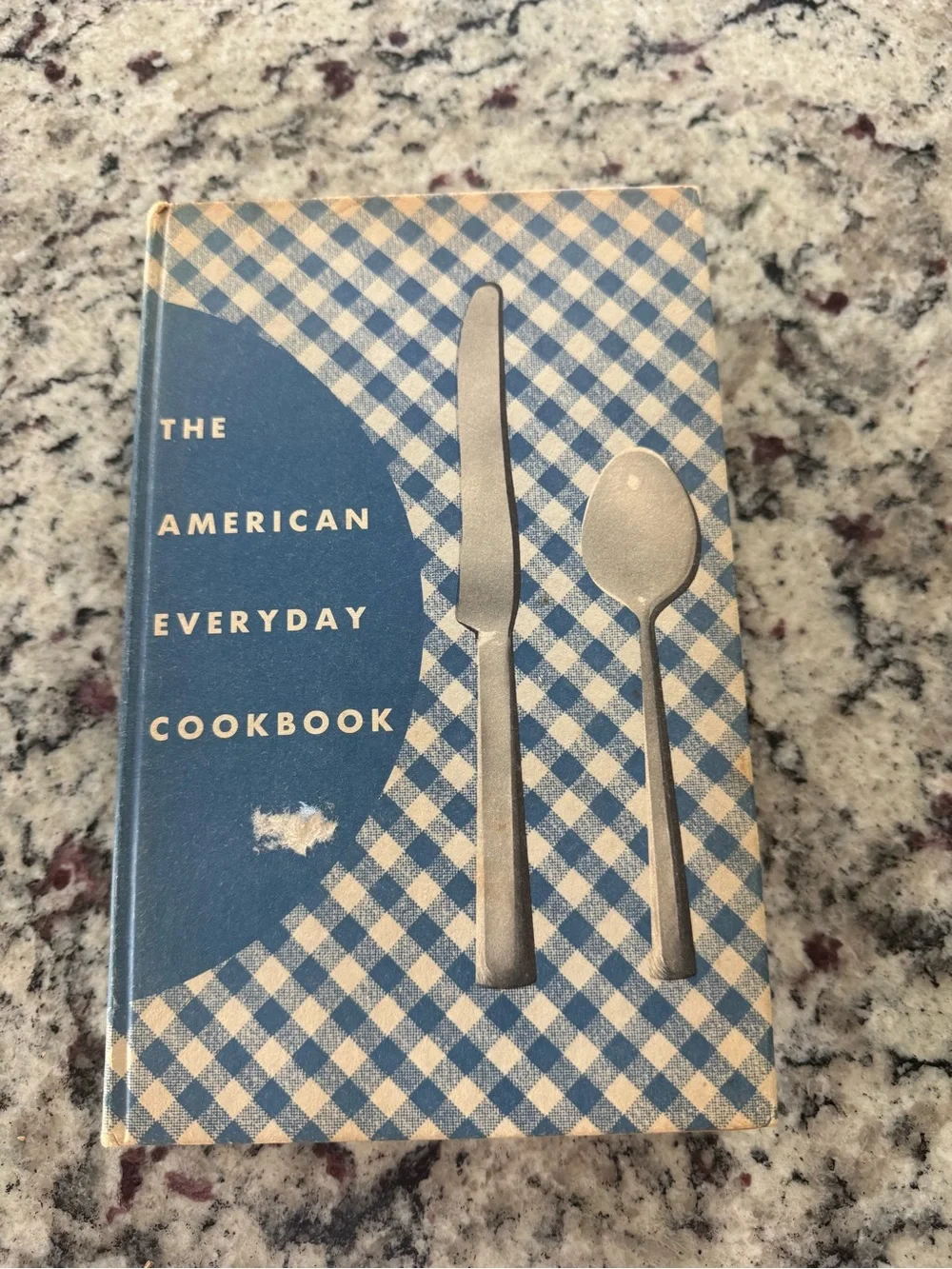 The American Everyday Cookbook — Blue Plaid Kitchen Cookbook 1950’s